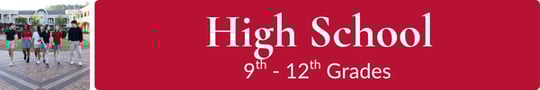HS Icon